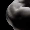 bodies