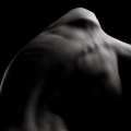 bodies