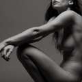bodies
