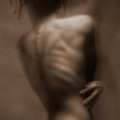 bodies