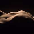 bodies