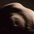 bodies