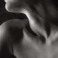bodies
