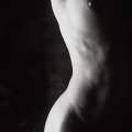 bodies