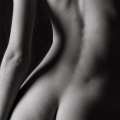 bodies