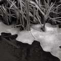 apparitions