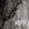 apparitions