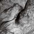 apparitions