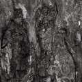 apparitions