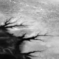 apparitions