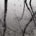 apparitions