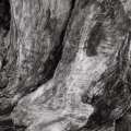 apparitions