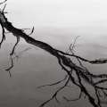 apparitions